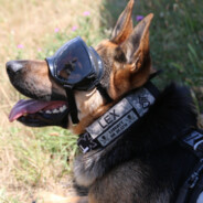 𝝙«малийcat»_A4332