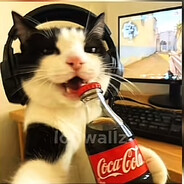 чефирgg - steam id 76561198890639232
