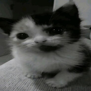 dolls_are_meant_to_be_trash