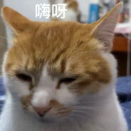 亚音速飞行牛子