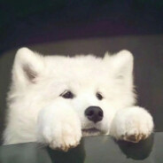 花花世界冯公子