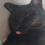 Planzin