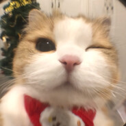 大棒加水滴越久越汼哔