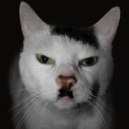 Catdolf Kitler