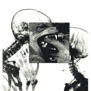 𐌔𐌀𐌃_𐌀ᏵᏵ𐌄𐌋