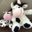 Moo Moo