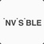 1nv1s1bl3
