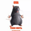opa