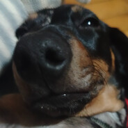 ćorny_cygan_skins.army