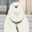 borf