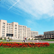 睡不醒的石头君