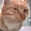 SammyCat's avatar