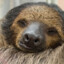 Mr. SleepMode