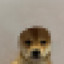 A Pixelated Sloth