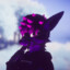 Hex