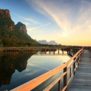 伞兵一号卢本伟.