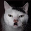 Adolf Kitler