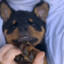 BEAR#