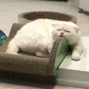 戒除网瘾第一天