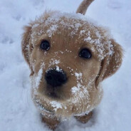 decij - steam id 76561199273089920