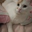 TouCH_9