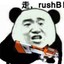 只会Rush