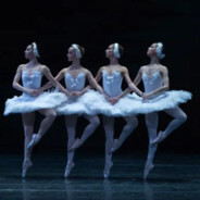 贼迟早被抓打死