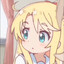 Yuuk[A]nimaL-