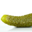 Pickle