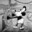 Mickey_Mouse