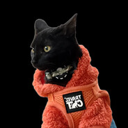 boof cat