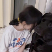 抽锐克五的暴龙战士