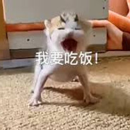 我要吃饭！！！！！！