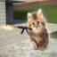 dumbass cat