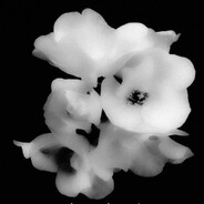 КРУТОЙ ПАЦАН