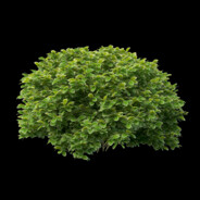 kyst - steam id 76561199211388780