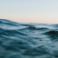 Wasser