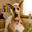 Marmaduke
