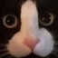 [DAVE]✩Izaac Hock✩