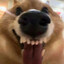 烂烂山大王