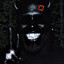 BASEDZEL's avatar