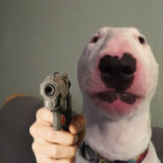 Walter el perro pistolero