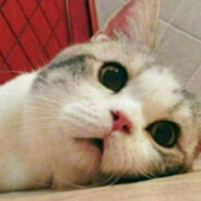 脸白咖啡厅与擦除之蝶