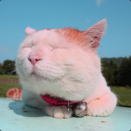 YANGff