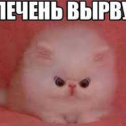 Аватар Pootis-man