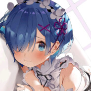 REM022