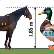 bob - steam id 76561198181238685