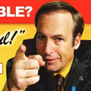Saul GOODMAN