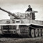 I SBR I Грибок