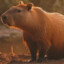 Capybara